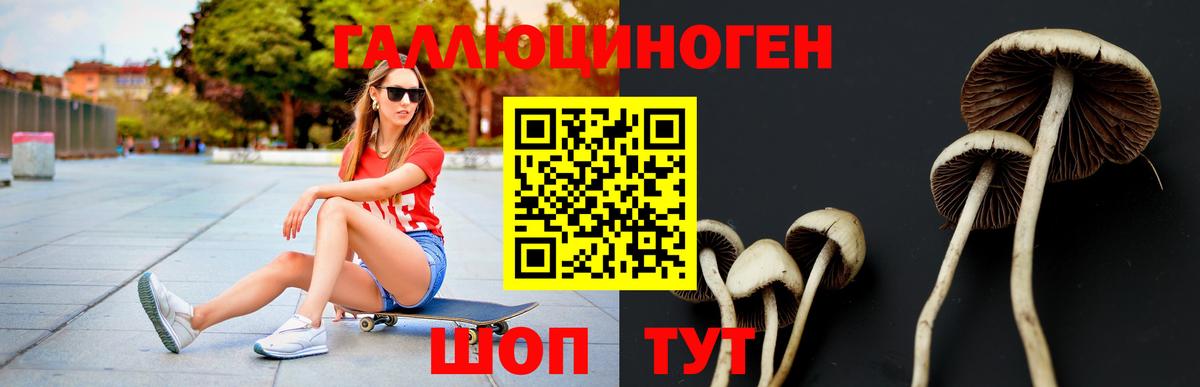 сколько стоит  Псилоцибиновые грибы GOLDEN TEACHER  Вход с VPN  Новоалтайск 